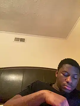 ThickDic28n Webbikameraesitys