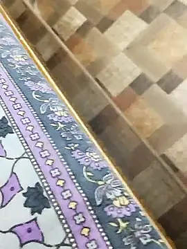 Show modela desi_pb02 na web-kameri