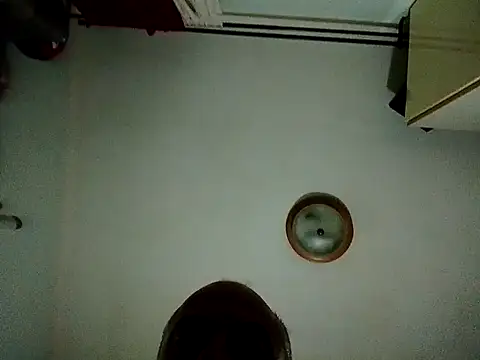 DauntedHumulin Webcam Show