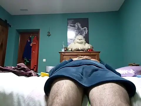 Show Webcam de delfi6