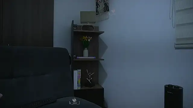 te_para_dos webcam show