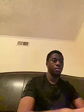 ThickDic28 Webcam show