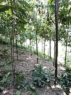 Онлайн чат XXX Ruby_Lucy