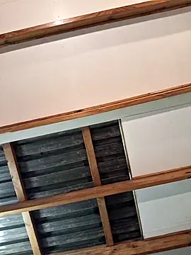 Show Webcam de Blackforest10