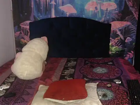 12_zasha_18 ওয়েবক্যাম শো