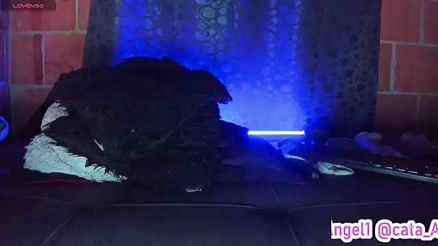 Cata-angel 现场XXX聊天