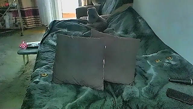 Chat XXX en directo de sex2