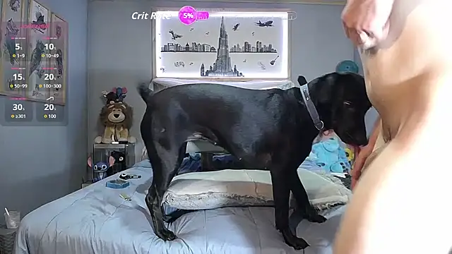 Pokazy przed kamerką – Danny_hot_fun