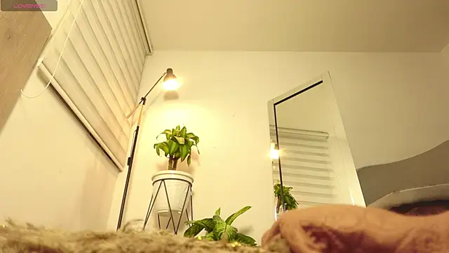 Chat +18 de Amapola_999 ao vivo