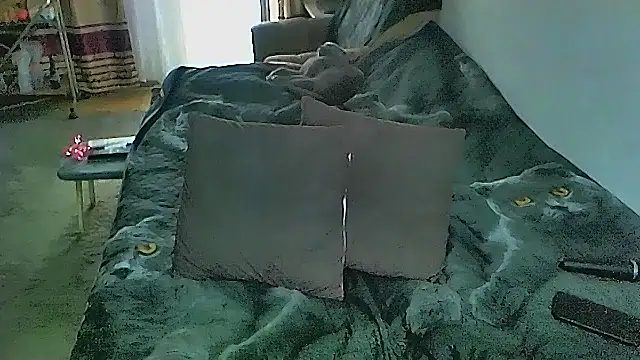 Chat XXX ao vivo de sex2