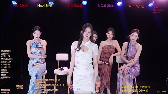 RV-525- 网络视讯表演