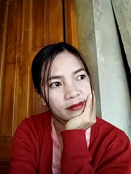 โชว์เว็บแคมของ lmc-zz