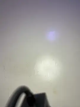 Reecekay 即時 XXX 聊天