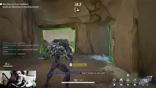 Show webcam de Neovergil0