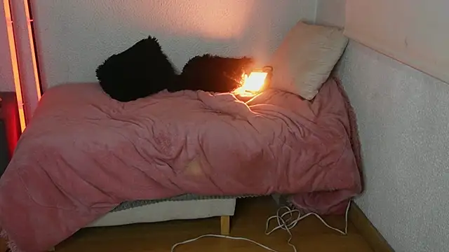 ari_kat Adlı Modelin Canlı XXX Sohbeti