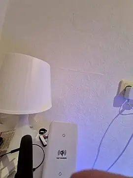 TirelessLot3 Webcam show