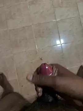 Jeewapateln Webbikameraesitys