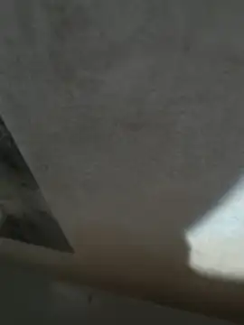 rajstrip12650 webcam show