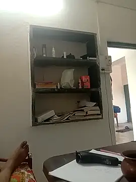 Delhi_boy2n Webbikameraesitys