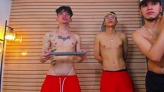 TheBatMansion 웹캠 쇼