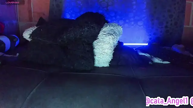 Cata-angel Live XXX-chat