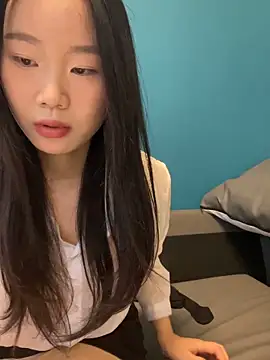 ZHJKS9988 Show Webcam