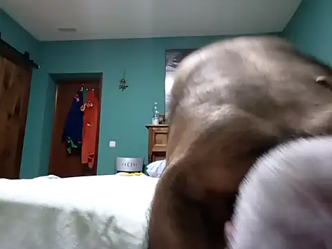 delfi6: απευθείας συνομιλία ΧΧΧ