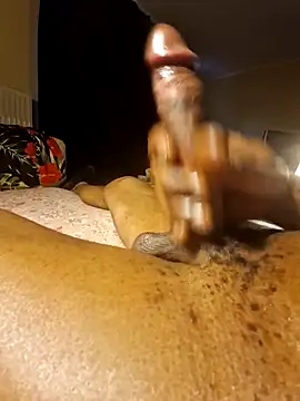 solofe19 Pertunjukan Webcam