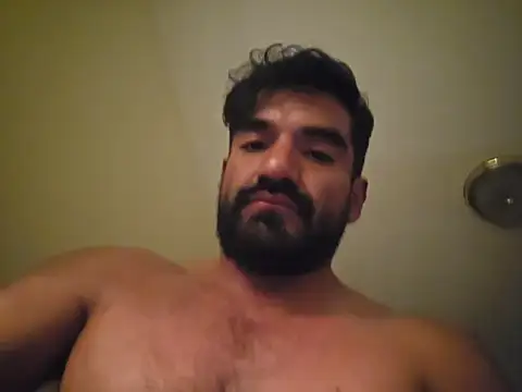 Pokazy przed kamerką – piggylatino