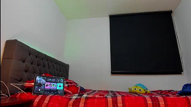 Show webcam de toritoga