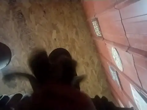 โชว์เว็บแคมของ vinyard