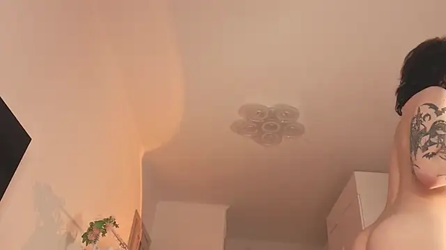 แชท XXX สดของ Eva_Sonic