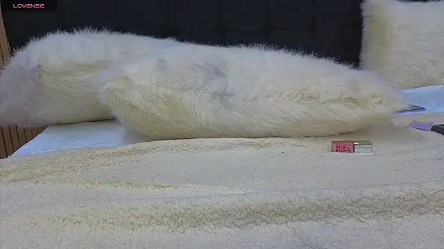 Chat XXX en directo de messy-saray