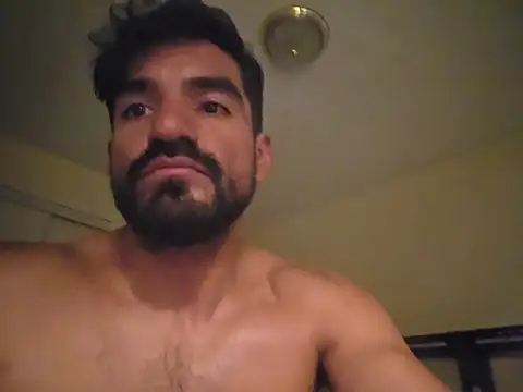 Czat XXX na żywo – piggylatino