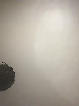 Živý XXX chat slimgod13