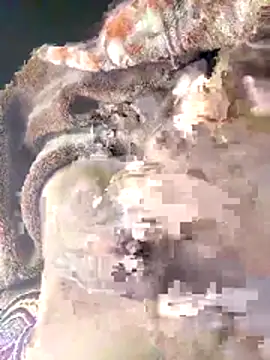 Kmali5465 Webcam Show