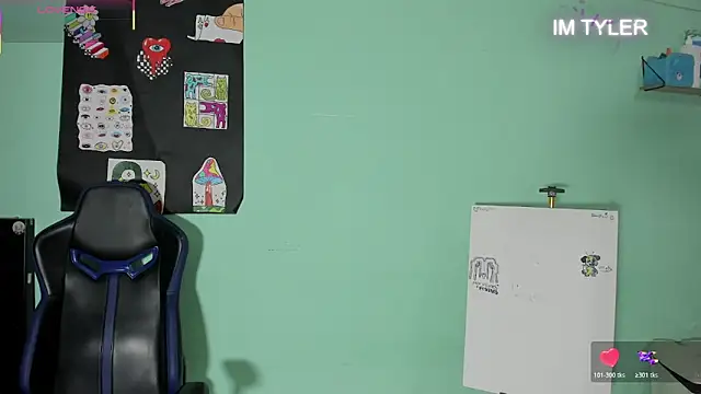 Вебкам-шоу TYLERhHOT2005