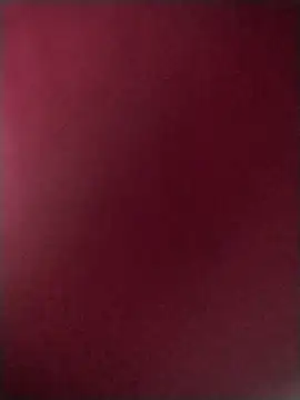 Francescodicristina44: διαδικτυακό σόου στην κάμερα