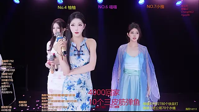 Show de webcam de RV-525-