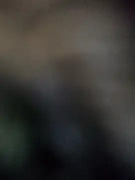 Saishaa: απευθείας συνομιλία ΧΧΧ