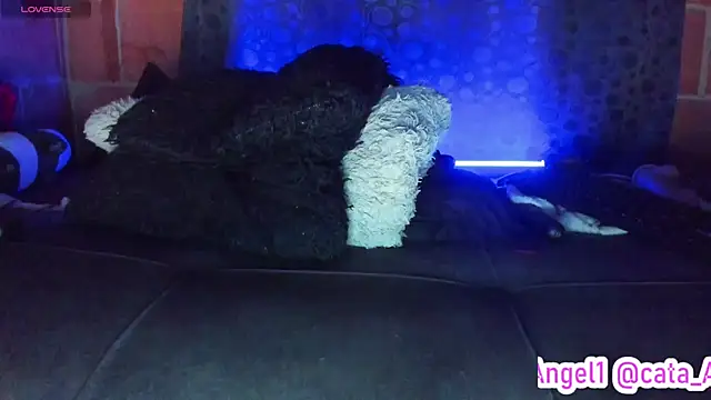 Cata-angel's Live XXX Chat