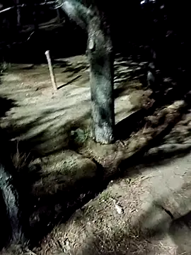 Chatroom XXX en direct de Labellasex