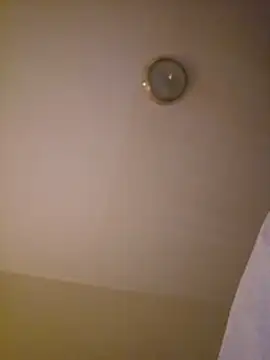 Pokazy przed kamerką – piggylatino