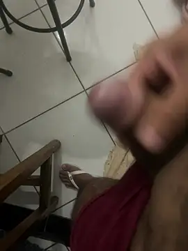 Show de webcam de adgato