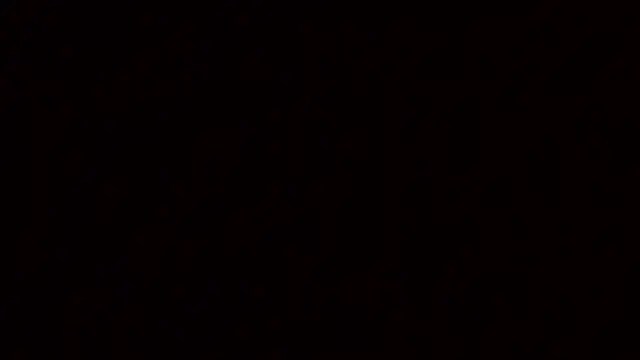 Paar27 élő XXX-chatje