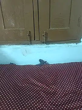 X-boy-11 网络视讯表演