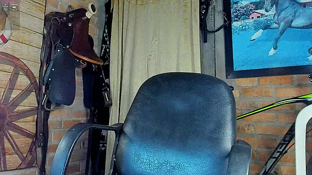 dominic_jonsonn Webbikameraesitys