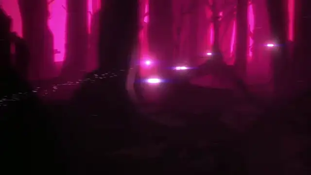 BimboCat Pertunjukan Webcam