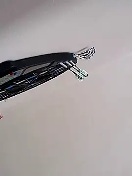 hamstiboy55 Webcam show