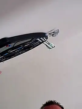 hamstiboy55 Webcam-Show